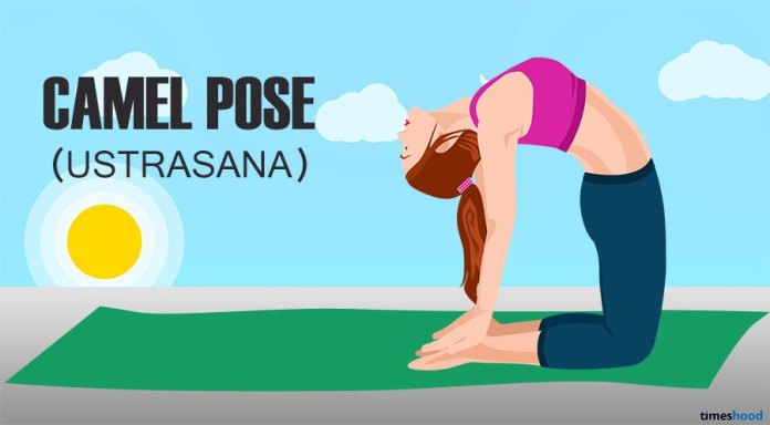 Camel Pose for Belly fat. How to loss belly fat fast. Yoga poses for belly fat.