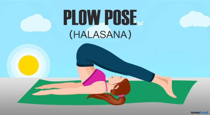 How to loss belly fat. Plow Pose for Belly fat. Yoga for belly fat for beginners.